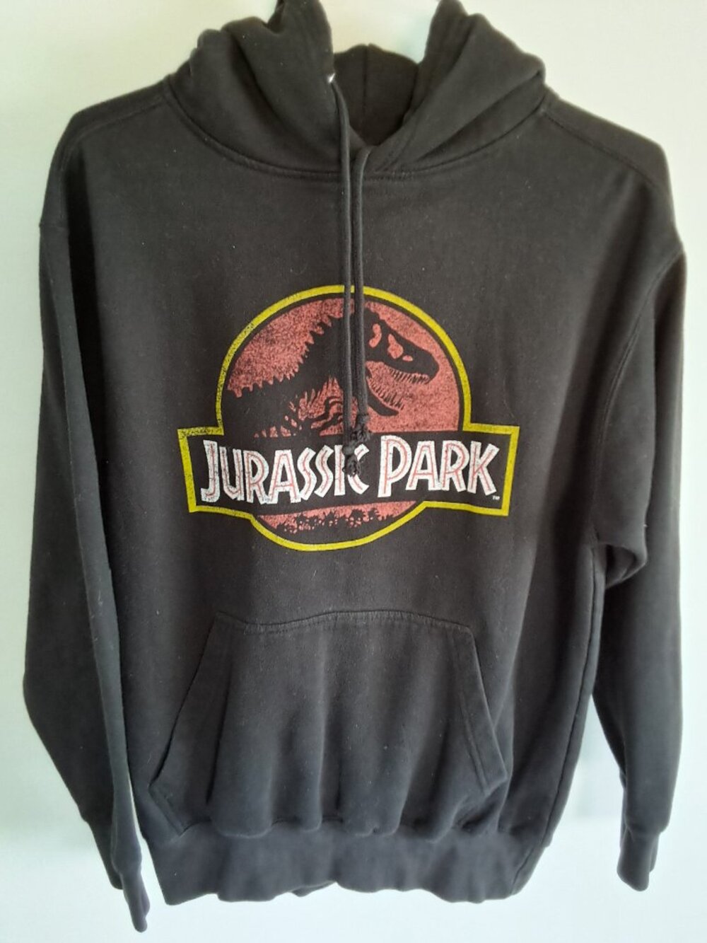 Jurassic Park Hoodie